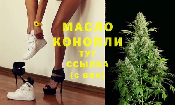 винт Абаза