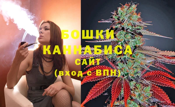 винт Абаза