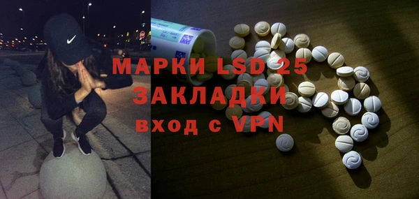 индика Алзамай