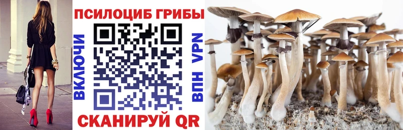 где продают наркотики  Таганрог  кракен онион  Галлюциногенные грибы Cubensis 