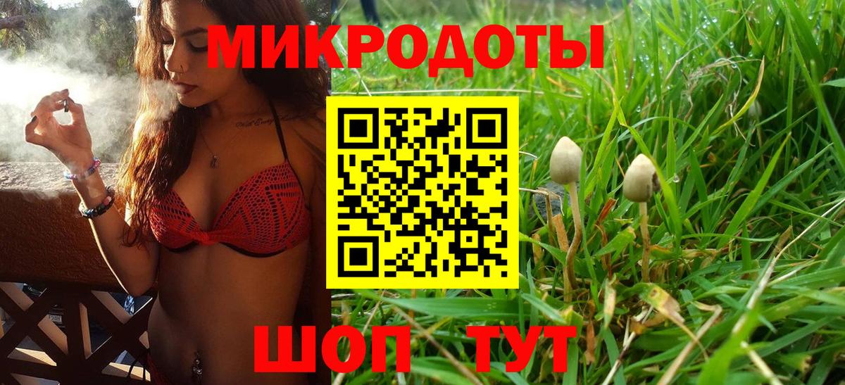 Таганрог  Псилоцибиновые грибы прущие грибы  Галлюциногенные грибы GOLDEN TEACHER  Вход с VPN 